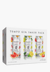 TEMPO GIN SMASH 12CANS